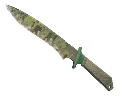★ Classic Knife | Boreal Forest - Battle-Scarred
