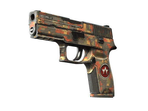 P250 | Red Rock - Battle-Scarred