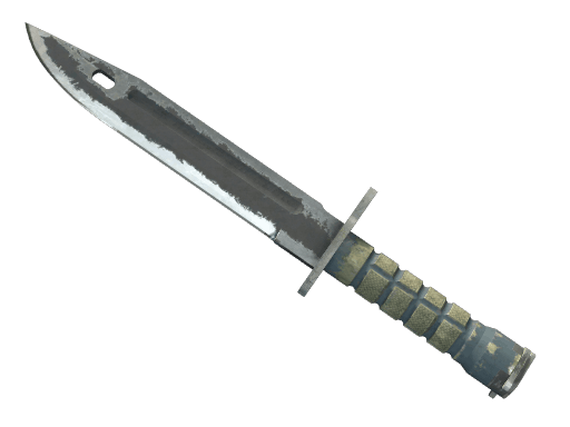 ★ Bayonet | Night - Battle-Scarred