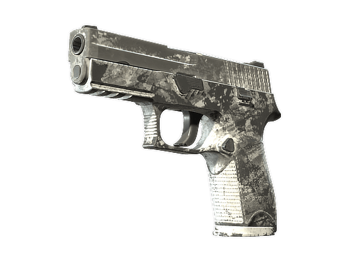 P250 | Sleet