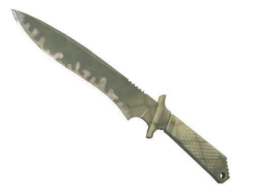 ★ StatTrak™ Classic Knife | Safari Mesh - Field-Tested