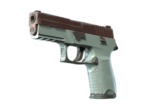 P250 | Copper Oxide - Field-Tested