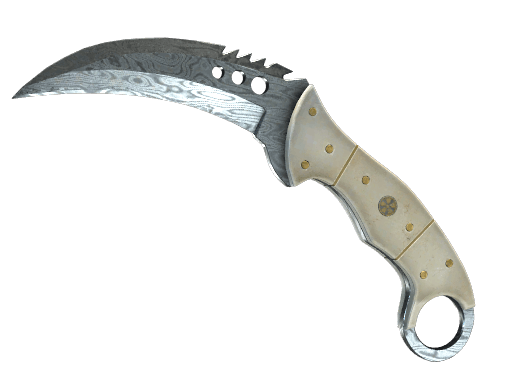 ★ StatTrak™ Talon Knife | Damascus Steel - Field-Tested