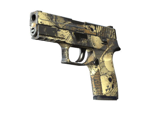 P250 | Contamination - Field-Tested