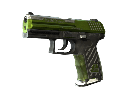 P2000 | Turf - Battle-Scarred