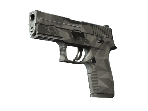 P250 | Facets - Field-Tested