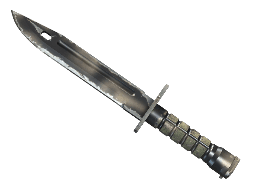 ★ Bayonet | Scorched - Field-Tested