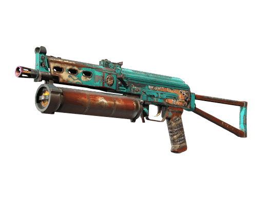 PP-Bizon | Embargo - Field-Tested