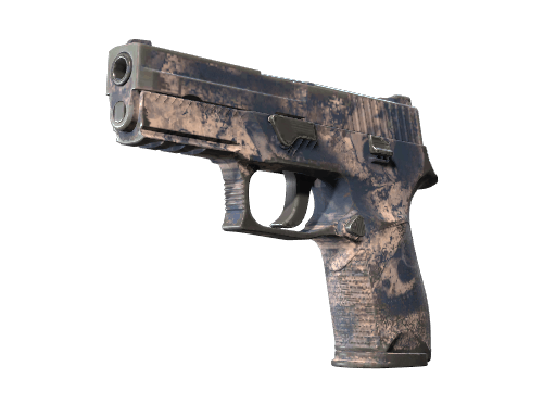 P250 | Drought - Field-Tested
