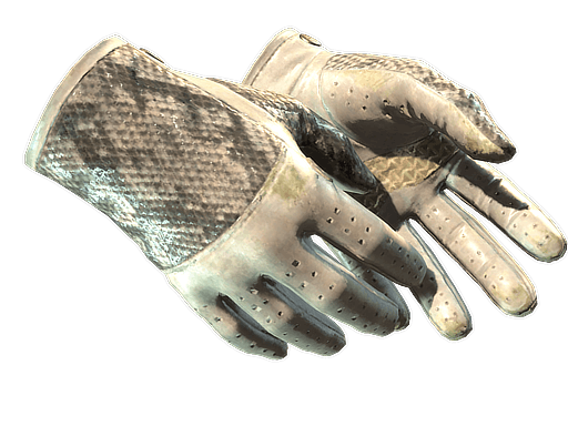 ★ Driver Gloves | King Snake - Field-Tested