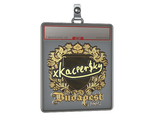 Sticker Slab | xKacpersky (Gold) | Budapest 2025
