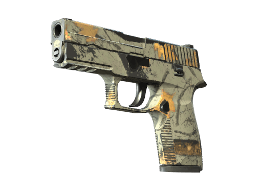 P250 | Modern Hunter - Field-Tested